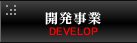 開発事業